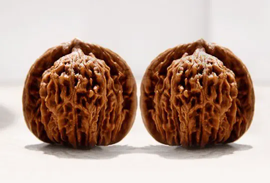 Digital Humanities Project